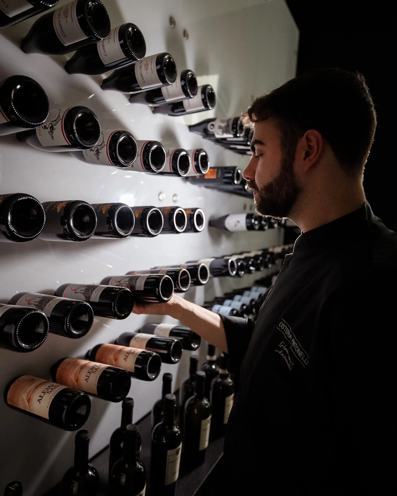 Gianmarco Antonelli in cantina